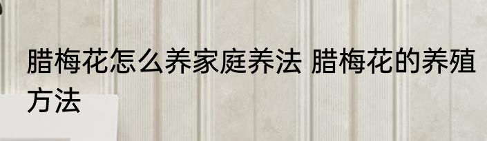 腊梅花怎么养家庭养法 腊梅花的养殖方法