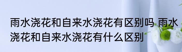 雨水浇花和自来水浇花有区别吗 雨水浇花和自来水浇花有什么区别