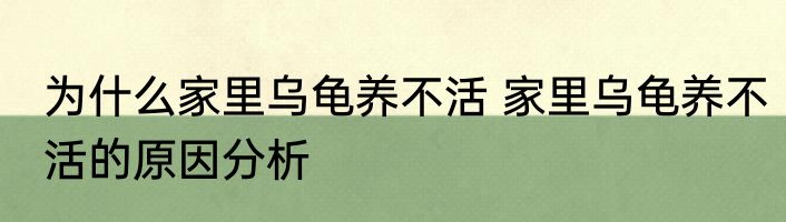 为什么家里乌龟养不活 家里乌龟养不活的原因分析