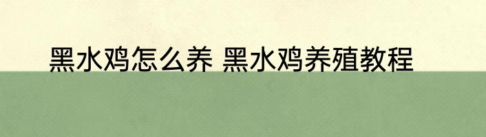 黑水鸡怎么养 黑水鸡养殖教程