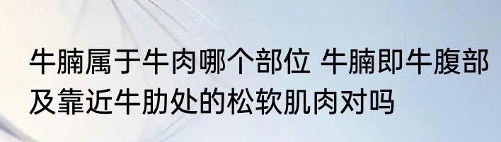 牛腩属于牛肉哪个部位 牛腩即牛腹部及靠近牛肋处的松软肌肉对吗