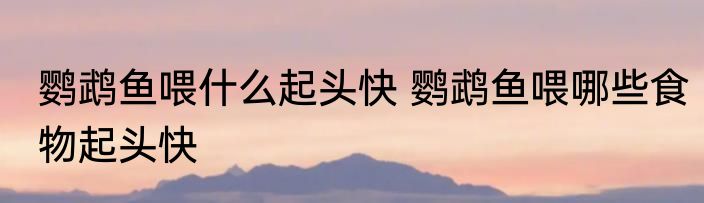 鹦鹉鱼喂什么起头快 鹦鹉鱼喂哪些食物起头快
