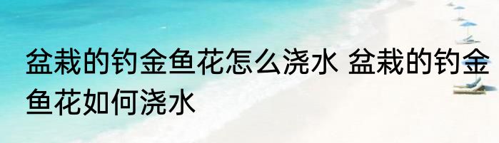 盆栽的钓金鱼花怎么浇水 盆栽的钓金鱼花如何浇水