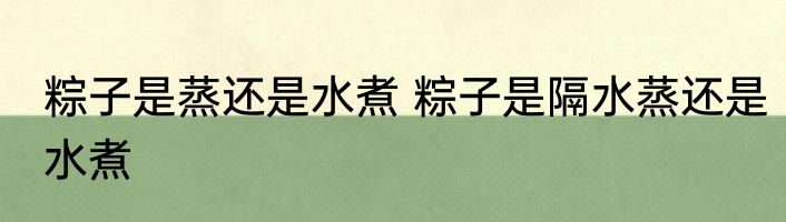 粽子是蒸还是水煮 粽子是隔水蒸还是水煮