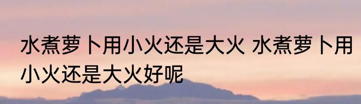水煮萝卜用小火还是大火 水煮萝卜用小火还是大火好呢