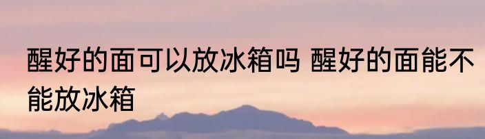 醒好的面可以放冰箱吗 醒好的面能不能放冰箱