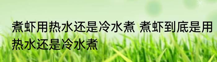 盐水虾是用开水还是用冷水煮 盐水虾用啥水下锅好呢