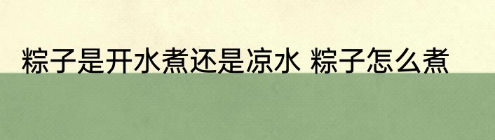 粽子是开水煮还是凉水 粽子怎么煮
