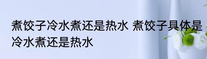 煮饺子冷水煮还是热水 煮饺子具体是冷水煮还是热水