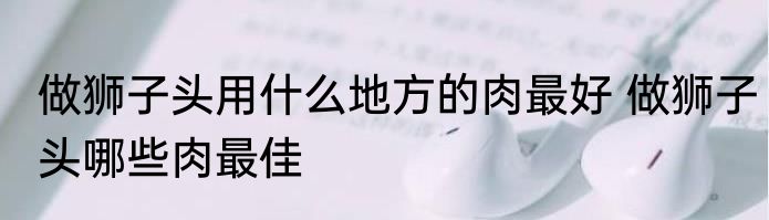 做狮子头用什么地方的肉最好 做狮子头哪些肉最佳