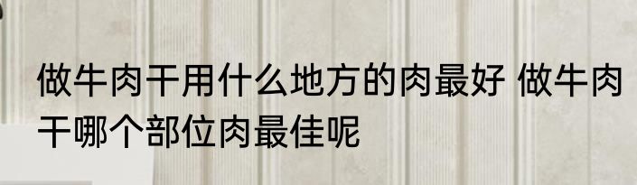 做牛肉干用什么地方的肉最好 做牛肉干哪个部位肉最佳呢