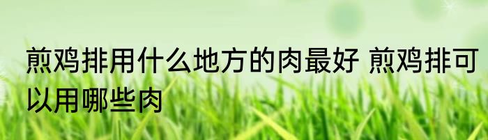 煎鸡排用什么地方的肉最好 煎鸡排可以用哪些肉