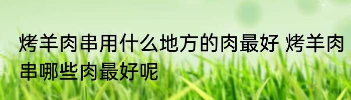 烤羊肉串用什么地方的肉最好 烤羊肉串哪些肉最好呢