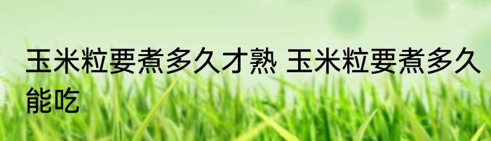 玉米粒要煮多久才熟 玉米粒要煮多久能吃