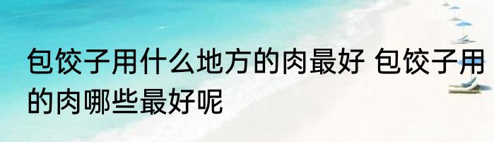 包饺子用什么地方的肉最好 包饺子用的肉哪些最好呢