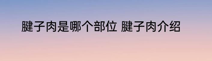 腱子肉是哪个部位 腱子肉介绍