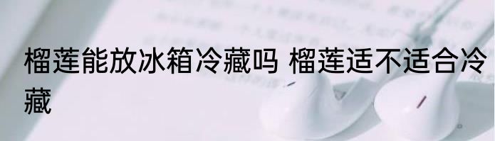 榴莲能放冰箱冷藏吗 榴莲适不适合冷藏