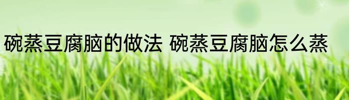 碗蒸豆腐脑的做法 碗蒸豆腐脑怎么蒸