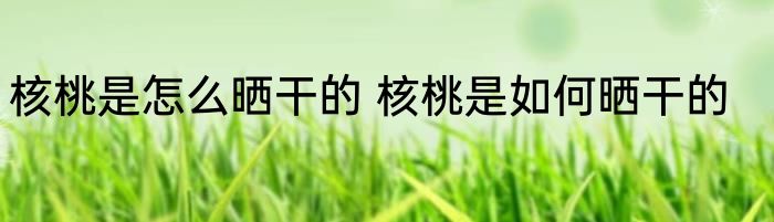 核桃是怎么晒干的 核桃是如何晒干的