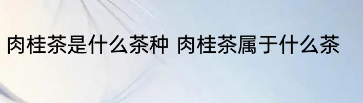 肉桂茶是什么茶种 肉桂茶属于什么茶