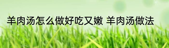 羊肉汤怎么做好吃又嫩 羊肉汤做法