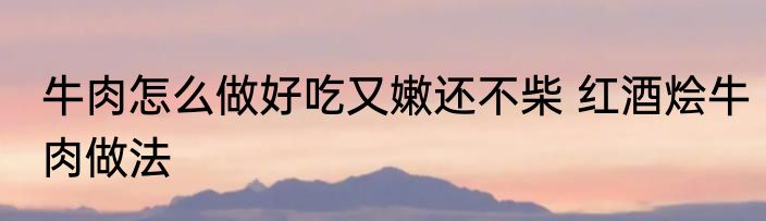 牛肉怎么做好吃又嫩还不柴 红酒烩牛肉做法