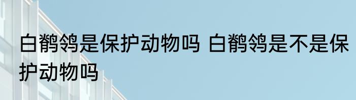 白鹡鸰是保护动物吗 白鹡鸰是不是保护动物吗