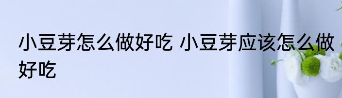 小豆芽怎么做好吃 小豆芽应该怎么做好吃