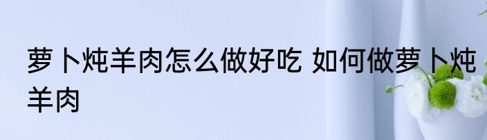 萝卜炖羊肉怎么做好吃 如何做萝卜炖羊肉