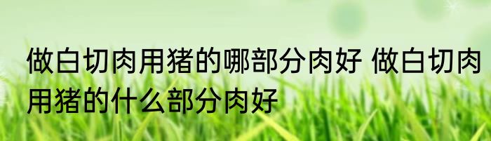 做白切肉用猪的哪部分肉好 做白切肉用猪的什么部分肉好