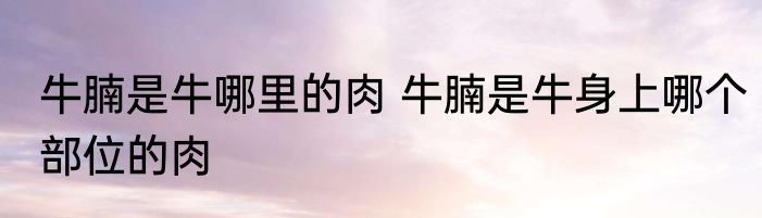 牛腩是牛哪里的肉 牛腩是牛身上哪个部位的肉