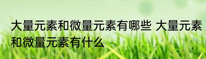 大量元素和微量元素有哪些 大量元素和微量元素有什么