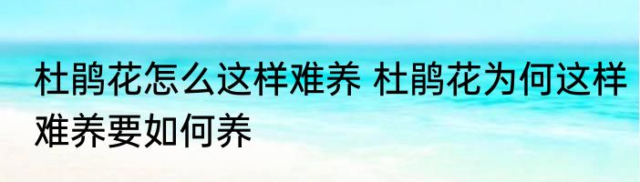 杜鹃花怎么这样难养 杜鹃花为何这样难养要如何养
