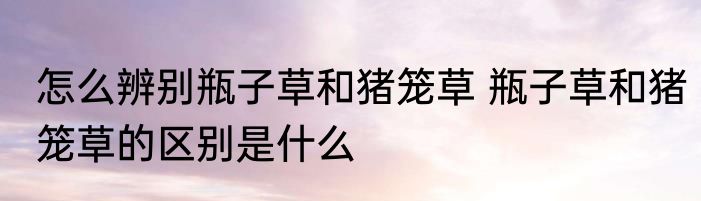 怎么辨别瓶子草和猪笼草 瓶子草和猪笼草的区别是什么