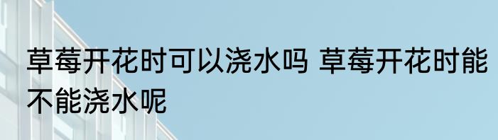 草莓开花时可以浇水吗 草莓开花时能不能浇水呢