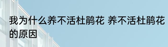 我为什么养不活杜鹃花 养不活杜鹃花的原因