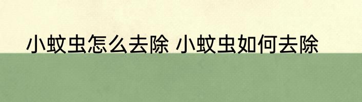 小蚊虫怎么去除 小蚊虫如何去除