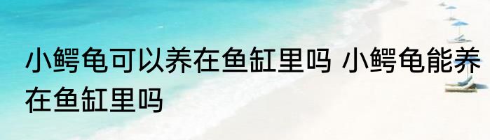 小鳄龟可以养在鱼缸里吗 小鳄龟能养在鱼缸里吗