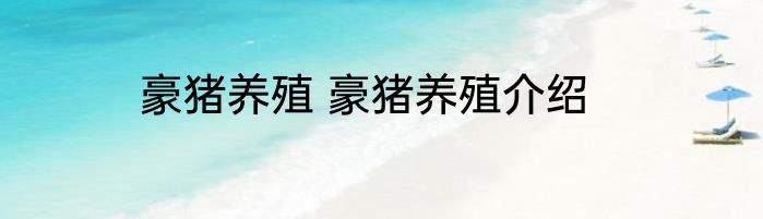 豪猪养殖 豪猪养殖介绍