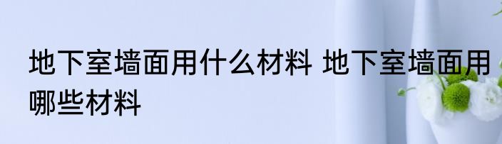 地下室墙面用什么材料 地下室墙面用哪些材料