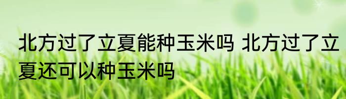 北方过了立夏能种玉米吗 北方过了立夏还可以种玉米吗