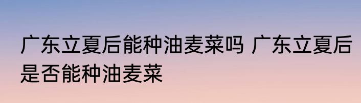 广东立夏后能种油麦菜吗 广东立夏后是否能种油麦菜