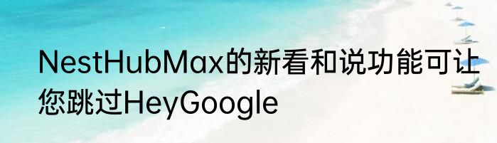 NestHubMax的新看和说功能可让您跳过HeyGoogle
