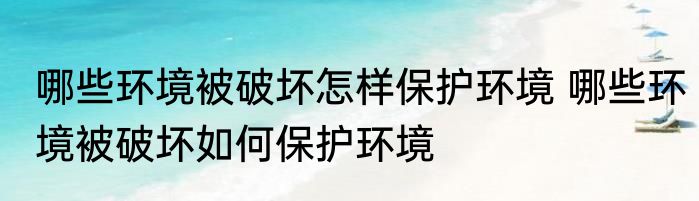 哪些环境被破坏怎样保护环境 哪些环境被破坏如何保护环境
