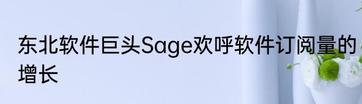 东北软件巨头Sage欢呼软件订阅量的增长