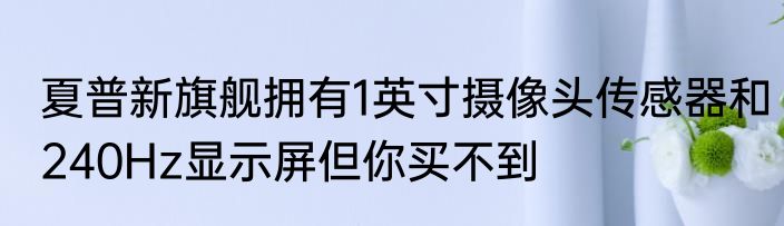 夏普新旗舰拥有1英寸摄像头传感器和240Hz显示屏但你买不到