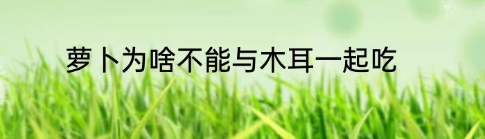 萝卜为啥不能与木耳一起吃