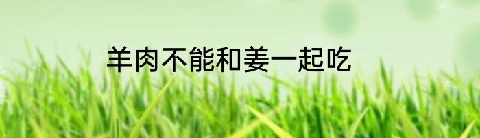 羊肉不能和姜一起吃