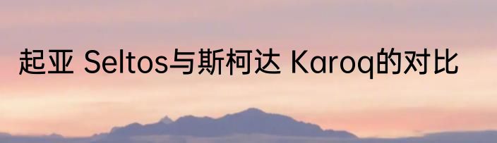起亚 Seltos与斯柯达 Karoq的对比
