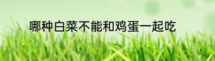 哪种白菜不能和鸡蛋一起吃
